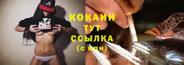 стаф Алексин