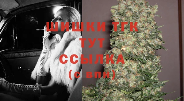 тгк Алзамай