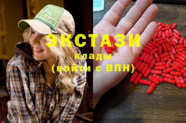 стаф Алексин