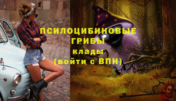 соль курить ск Алексеевка