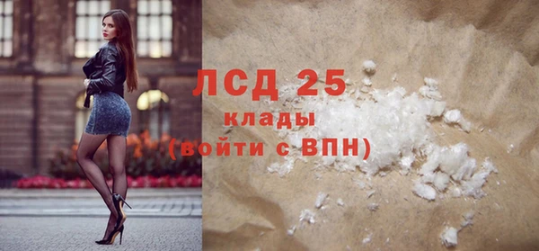 стаф Алексин